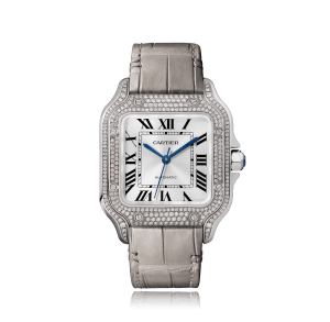 Santos de Cartier,