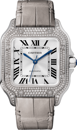 Santos de Cartier,