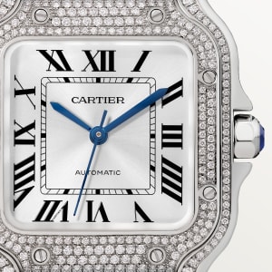 Santos de Cartier,
