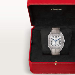 Santos de Cartier,