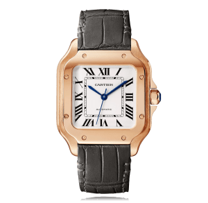 Santos de Cartier
,