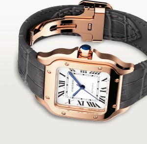 Santos de Cartier
,