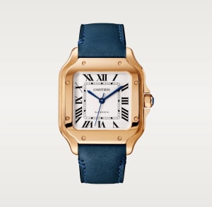 Santos de Cartier
,