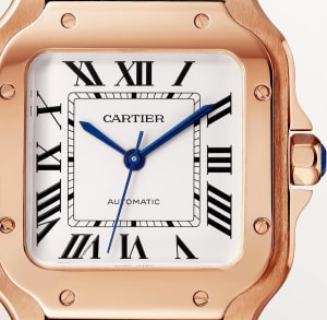 Santos de Cartier
,