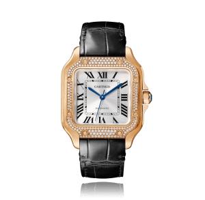 Santos de Cartier
,