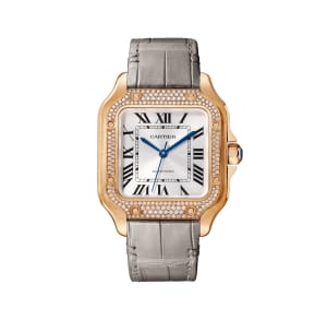 Santos de Cartier
,