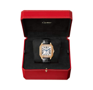 Santos de Cartier
,