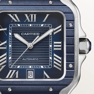 Santos de Cartier
,