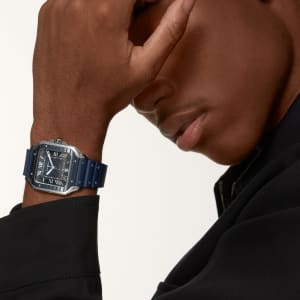 Santos de Cartier
,
