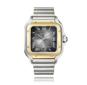 Santos de Cartier
,