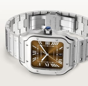 Santos de Cartier
,
