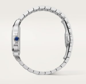 Santos de Cartier
,