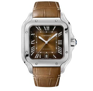 Santos de Cartier
,