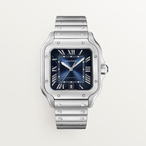 Santos de Cartier
,