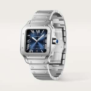 Santos de Cartier
,
