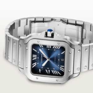 Santos de Cartier
,