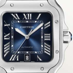 Santos de Cartier
,