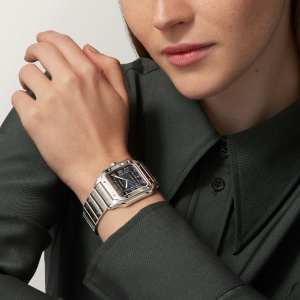 Santos de Cartier
,