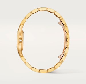 Panthère de Cartier
,