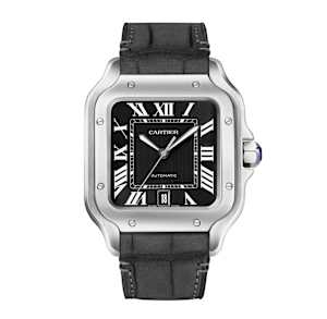 Santos de Cartier 
, 