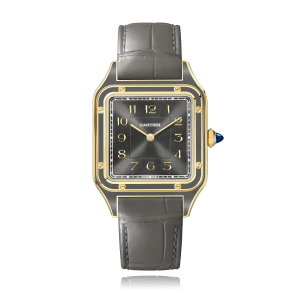 Santos de Cartier
,