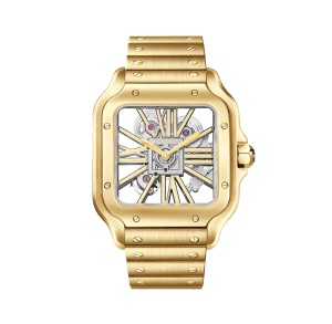 Santos de Cartier
,
