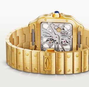 Santos de Cartier
,