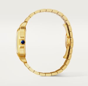 Santos de Cartier
,