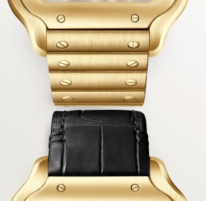 Santos de Cartier
,