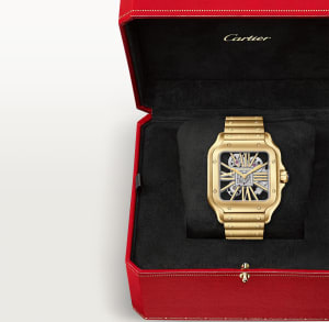 Santos de Cartier
,