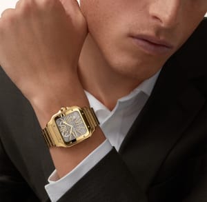 Santos de Cartier
,