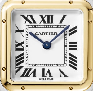 Panthère de Cartier 
, 