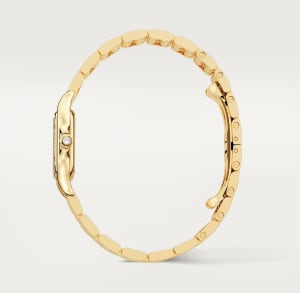 Panthère de Cartier
,