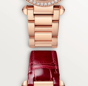 Pasha de Cartier
,