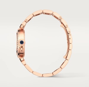 Pasha de Cartier
,