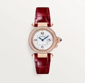 Pasha de Cartier
,