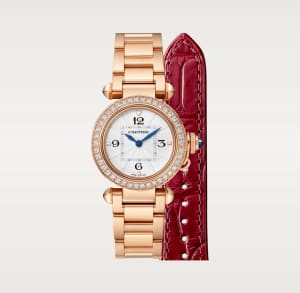 Pasha de Cartier
,