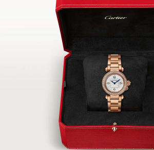 Pasha de Cartier
,