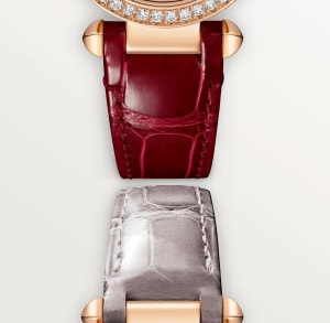 Pasha de Cartier
, 