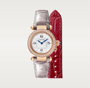 Pasha de Cartier
, 