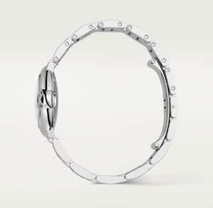 Ballon Bleu de Cartier
,