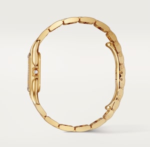 Panthère de Cartier
,
