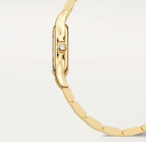 Panthère de Cartier
,