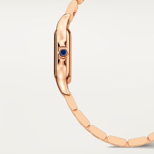 Panthère de Cartier
,