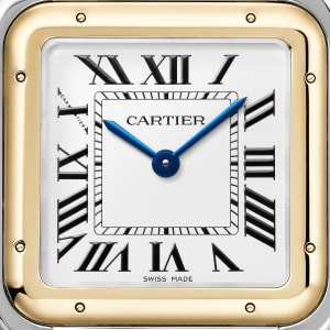 Panthère de Cartier , 