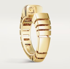 Reflection de Cartier,