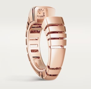 Reflection de Cartier, 