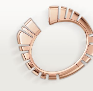 Reflection de Cartier, 