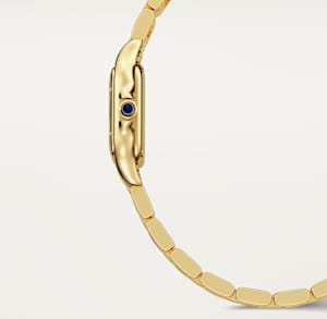 Panthère de Cartier 
, 