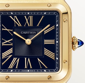 Santos de Cartier
,
